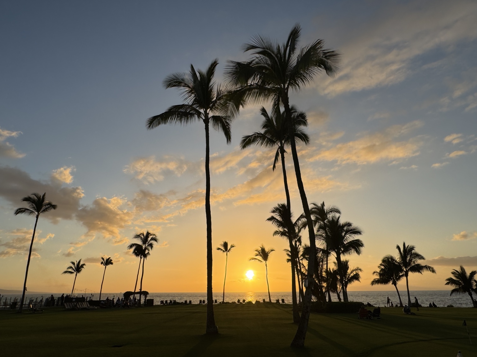 Sunset beyond palm trees