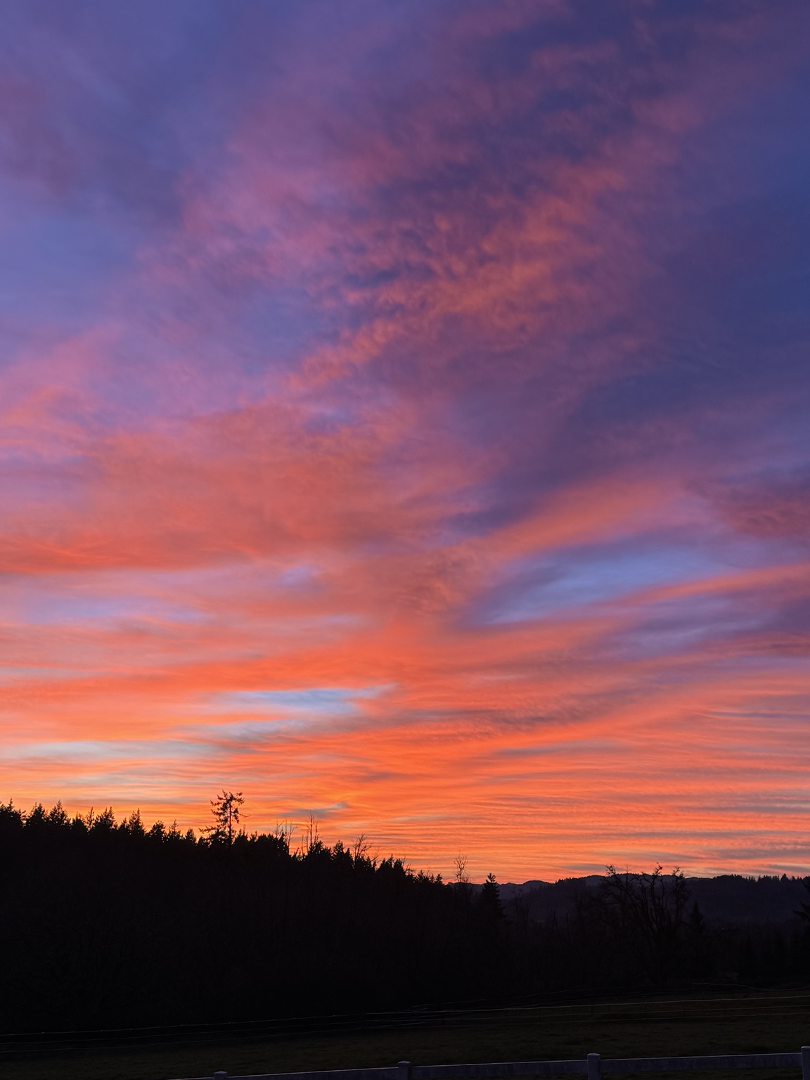 Pink and violet sunset sky